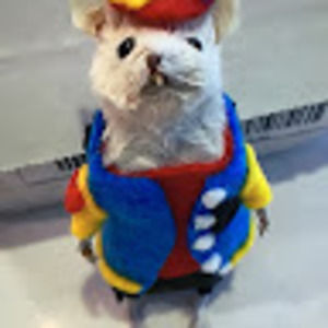 Meet your Posher, Blake